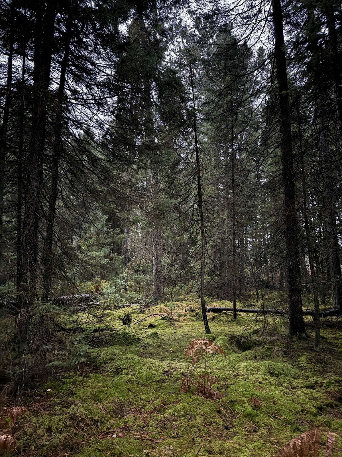 Canoe Harbor Campground