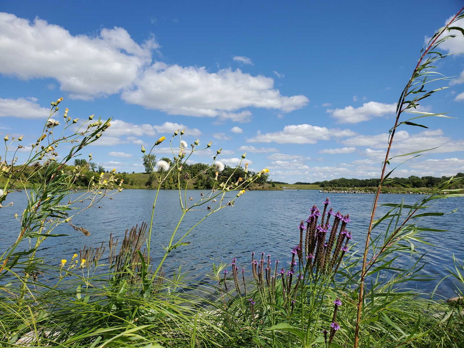 Larimore Dam Recreation Area Campground