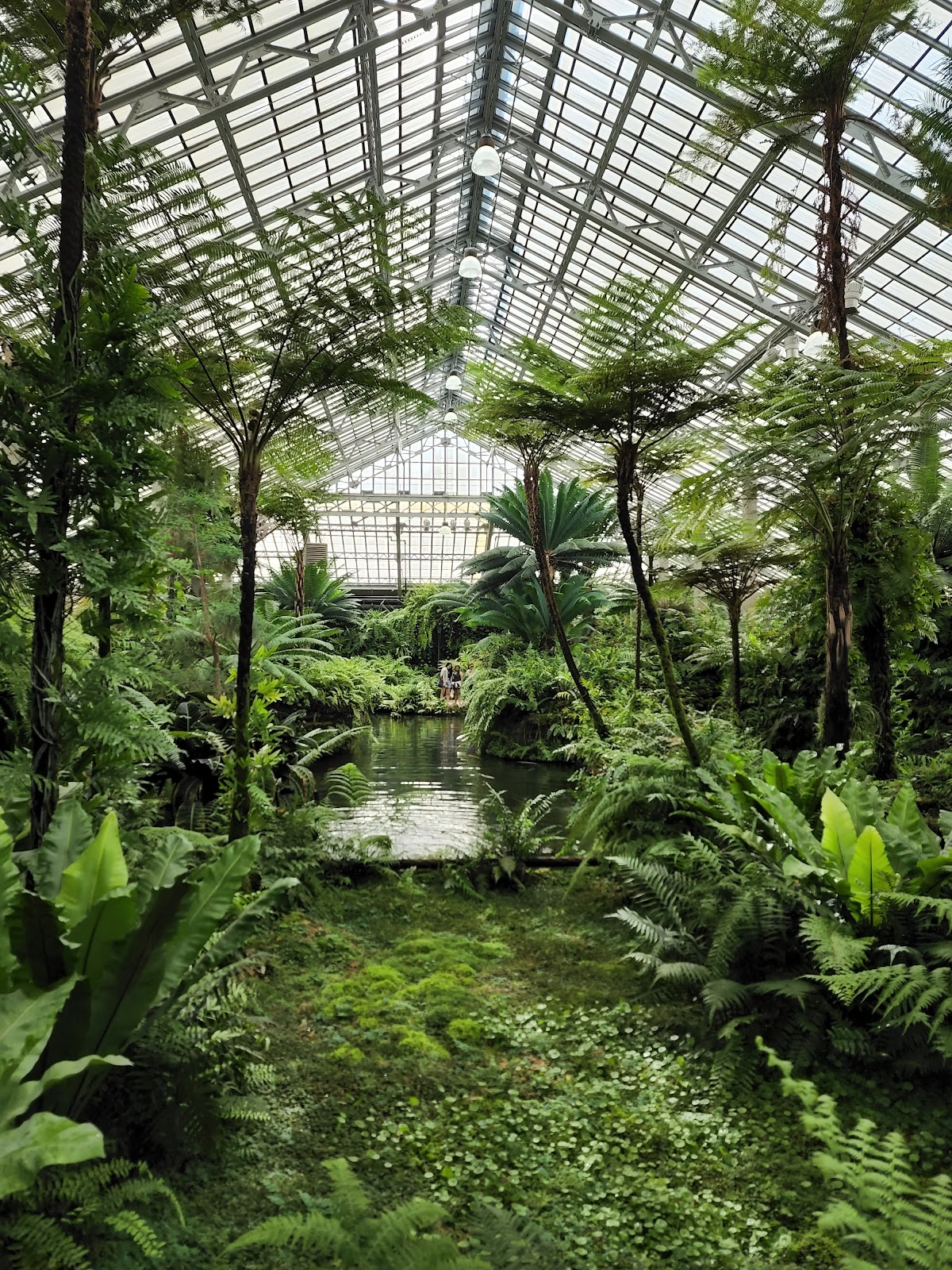 Garfield Park Conservatory