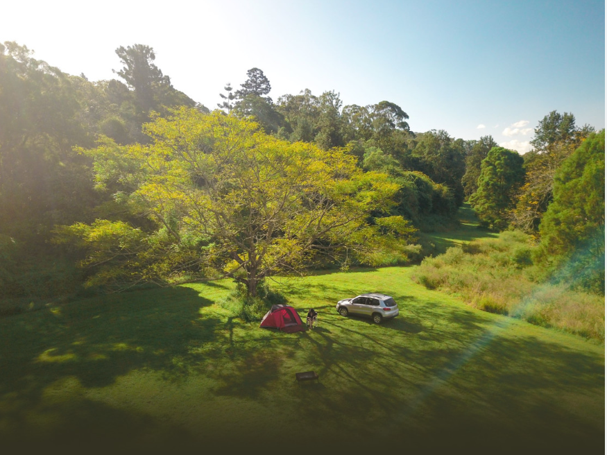 Toronto Point - Cross Timbers State Park