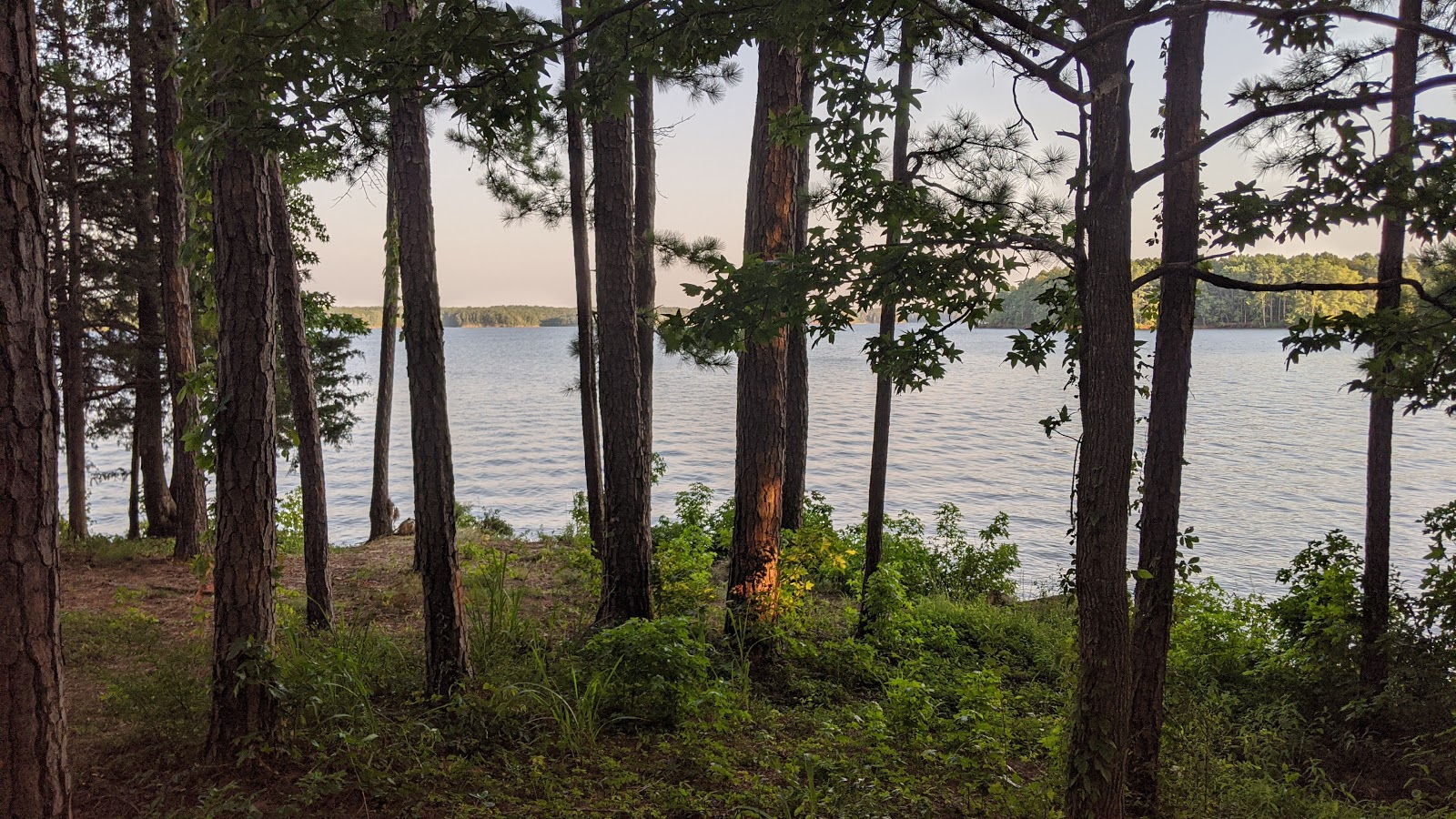 Piney Grove Campground