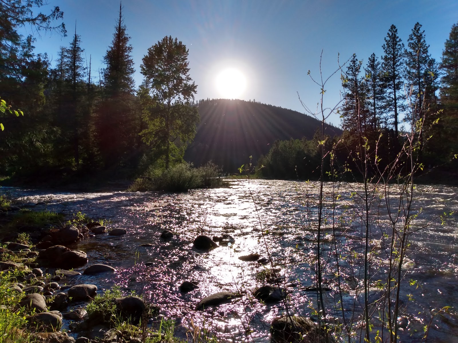 Yaak River Campground
