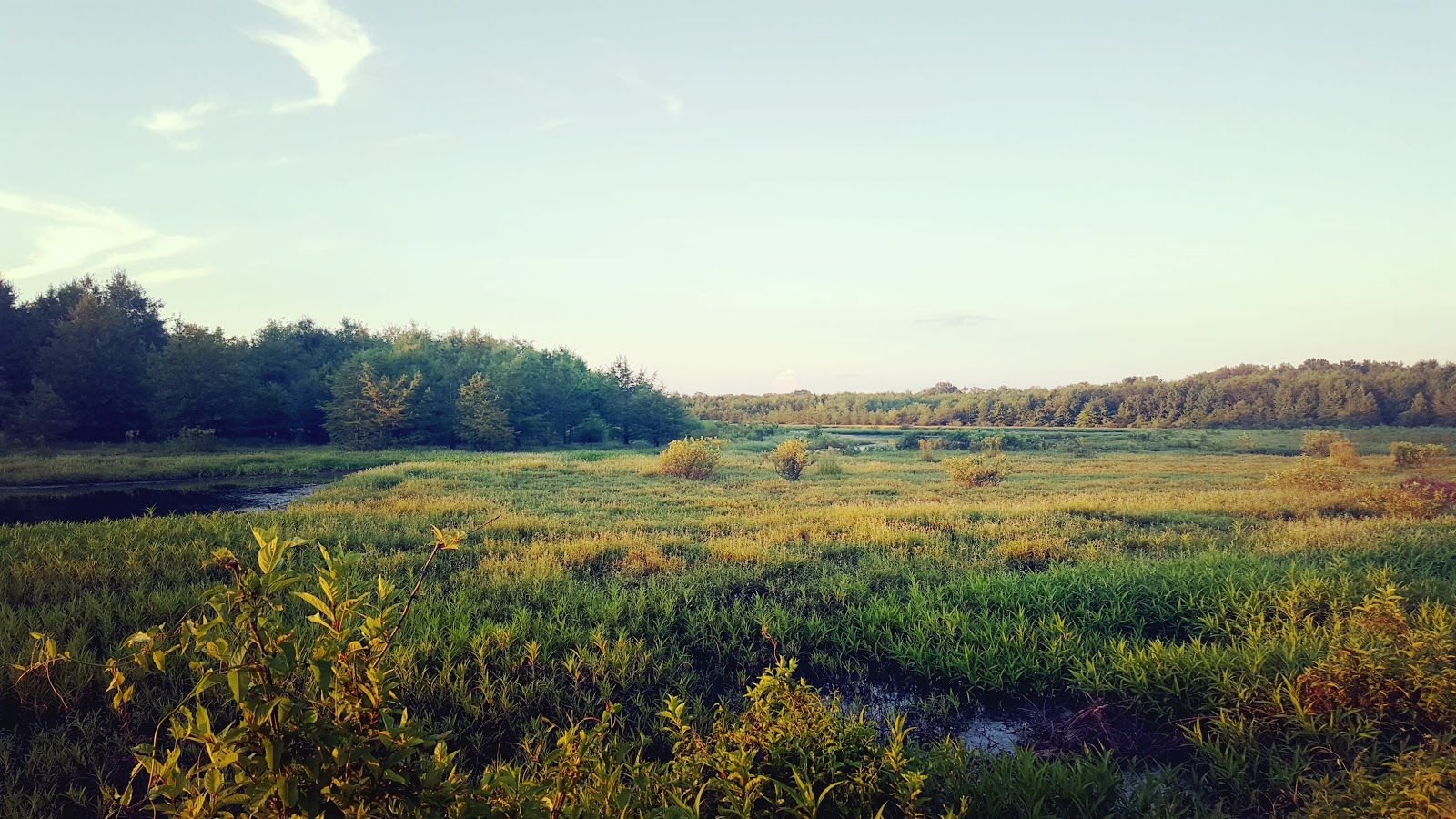 Bald Knob National Wildlife Refuge