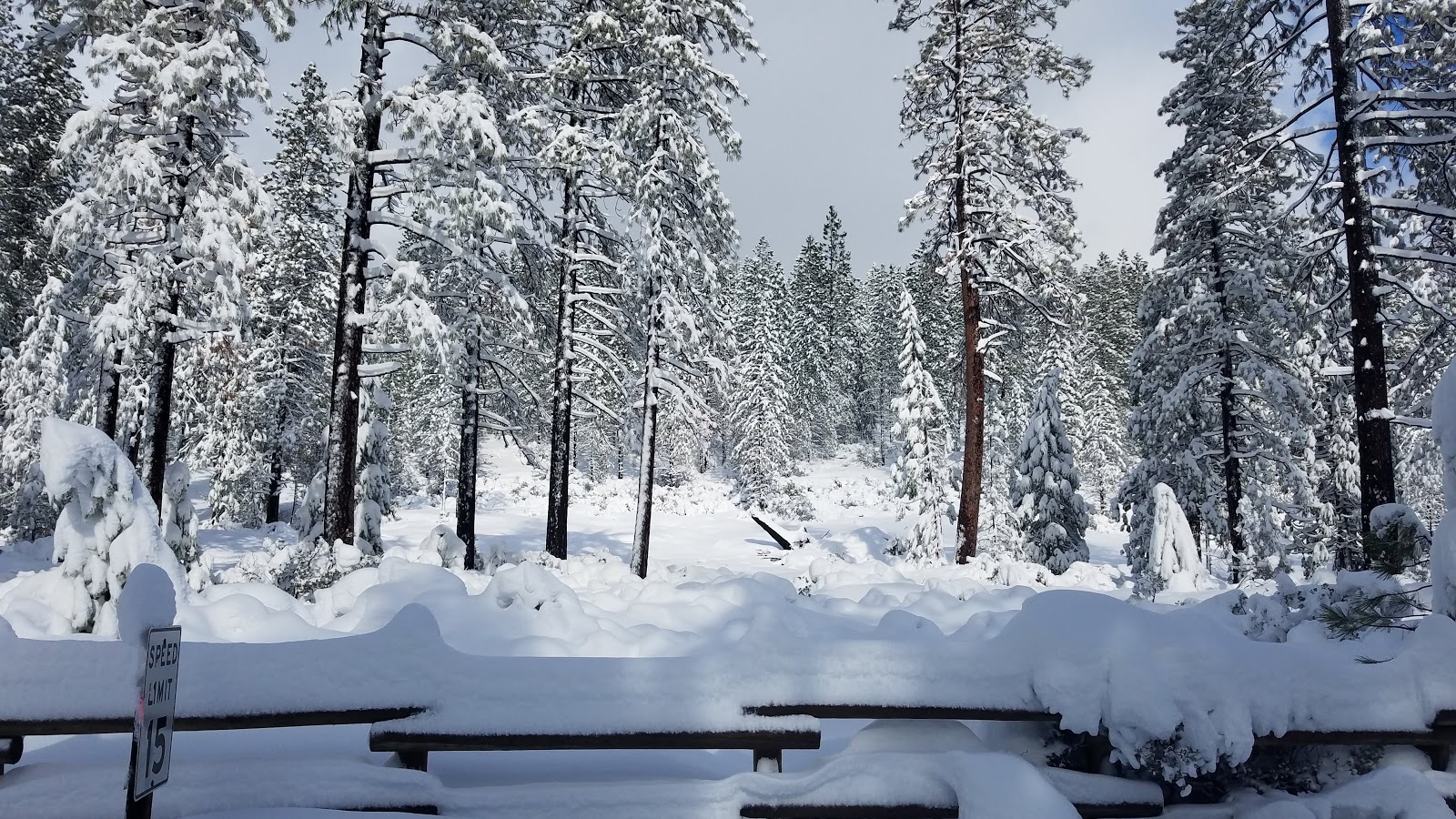 Parker Flat Campground