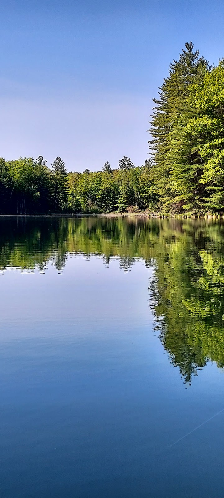 House Lake SF Campground