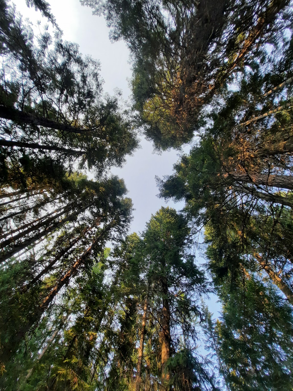 Fish Creek Campground