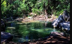 Emma Long Metropolitan Park