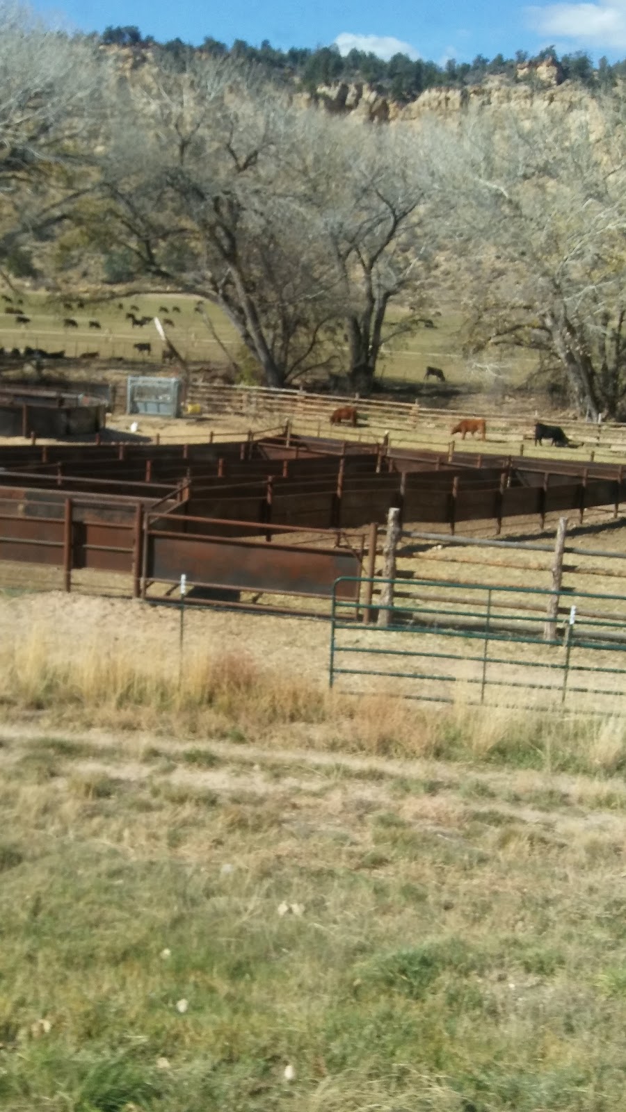 Tortoise and Hare Trailer Court
