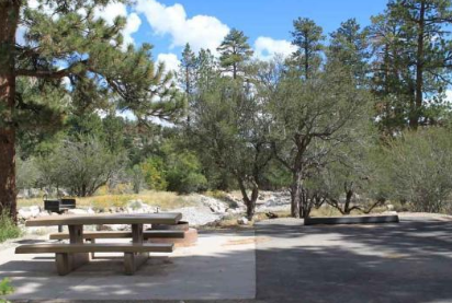 Kyle Canyon Campground