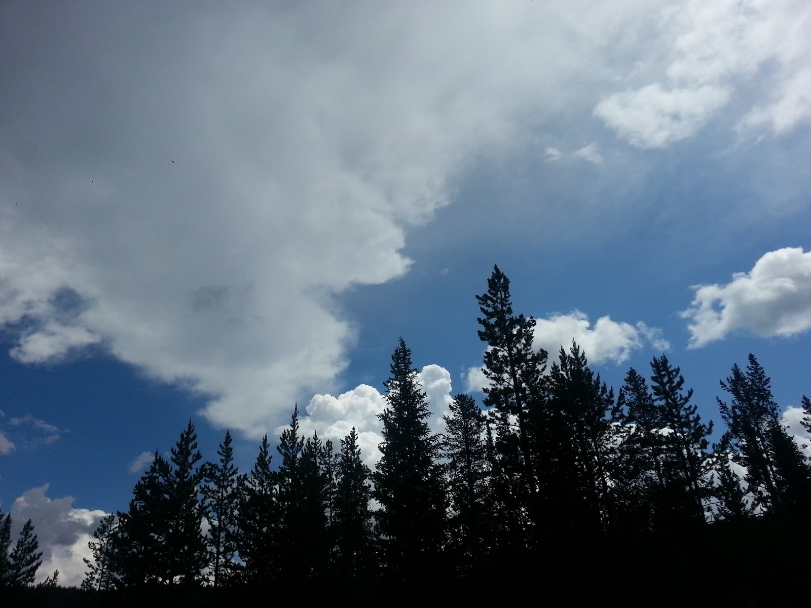 Whiskey Grove Campground