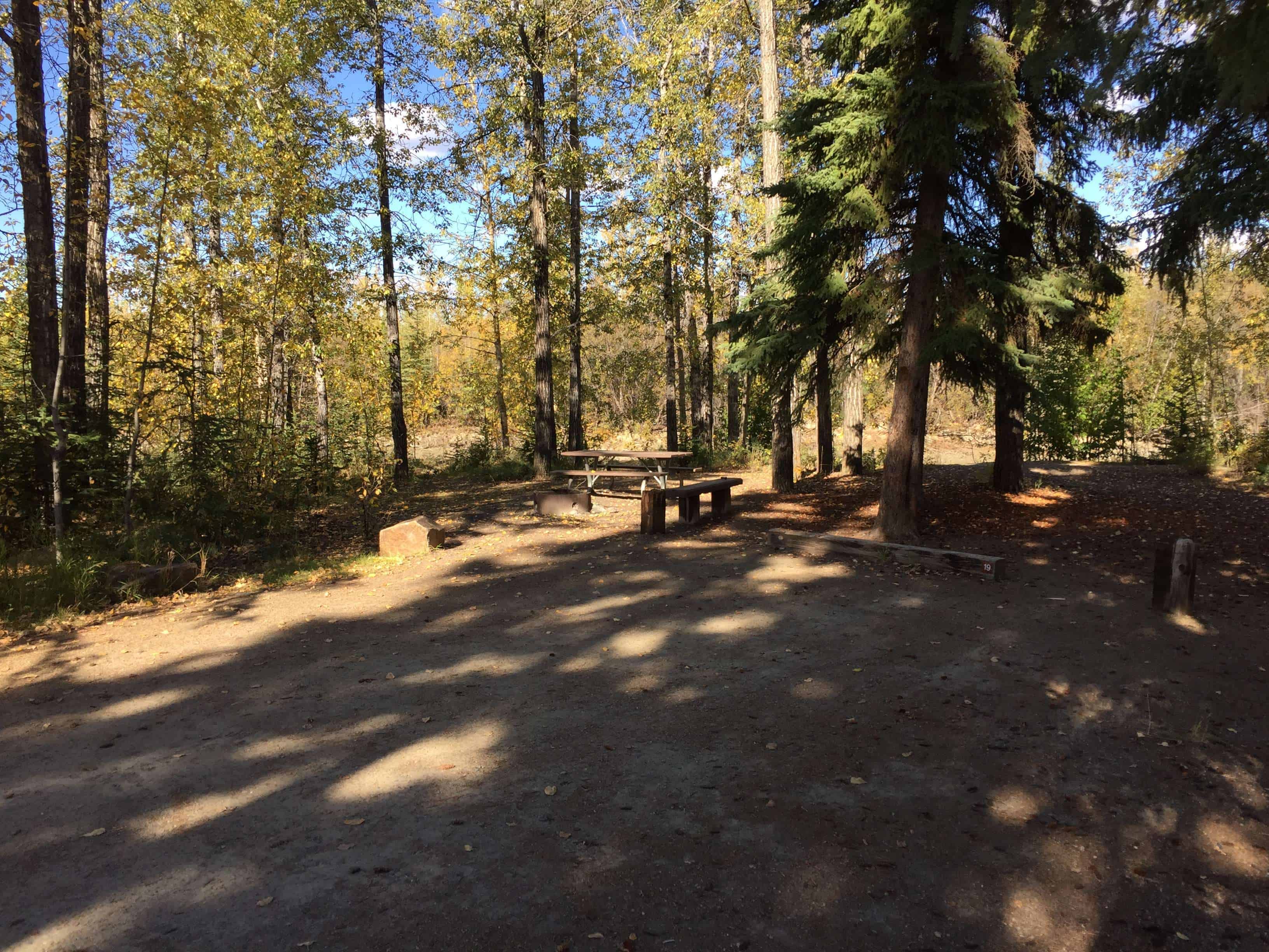 Tok River State Recreational Site