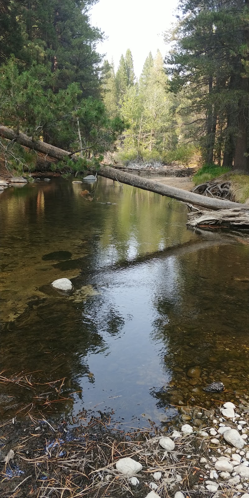 Lower Twin Lake Campground