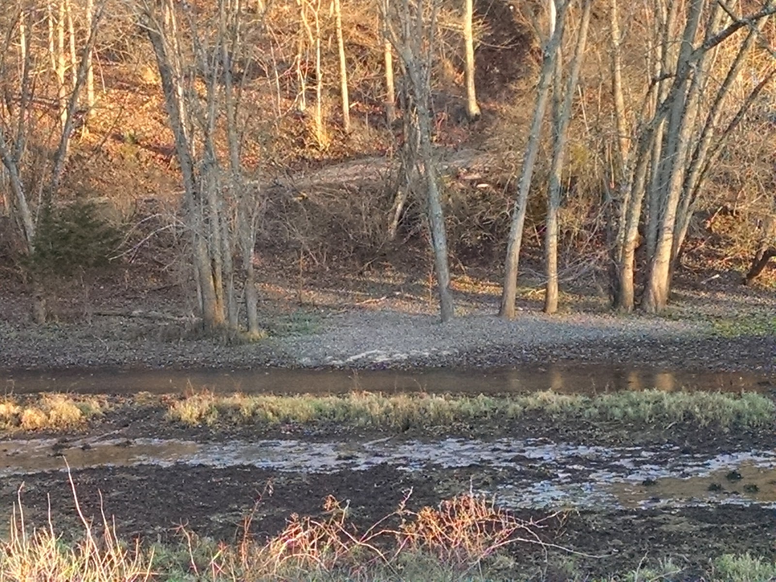 Beauford T. Anderson Park