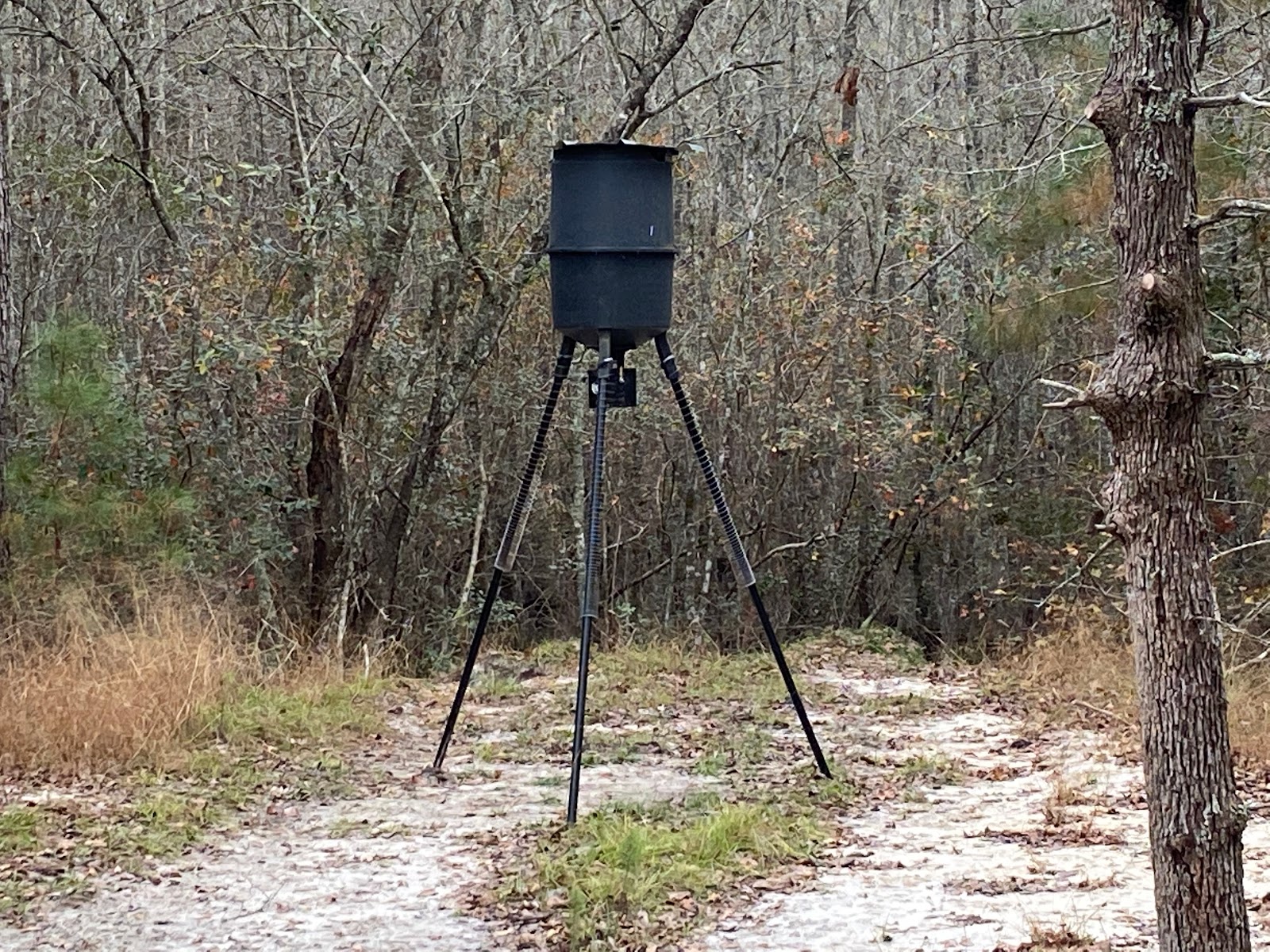Hidden Forest RV Club
