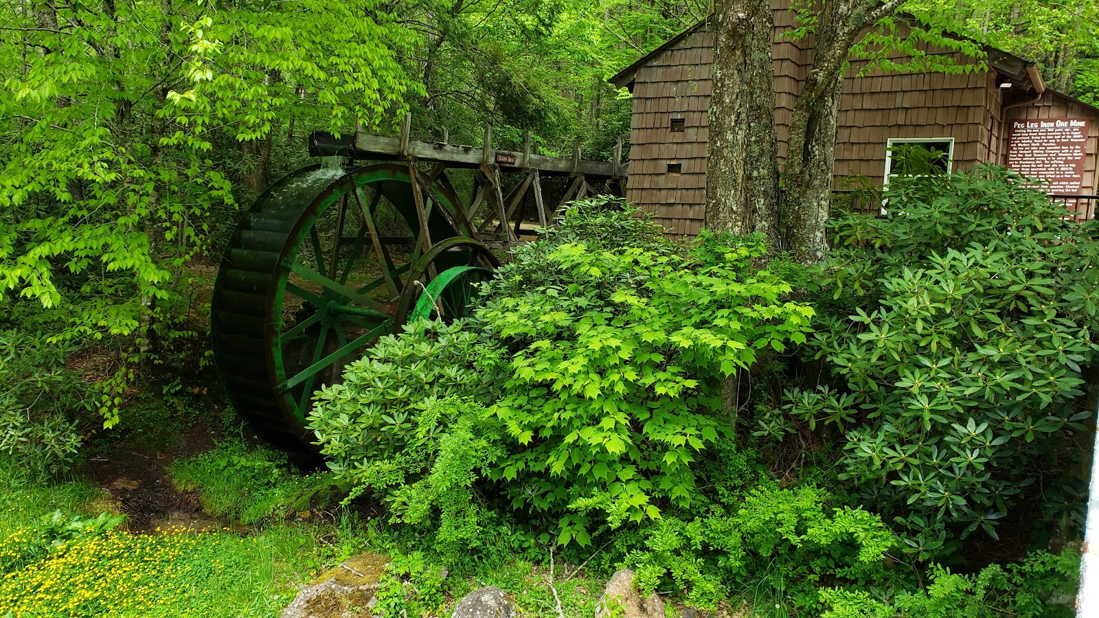 Roan Mountain State Park