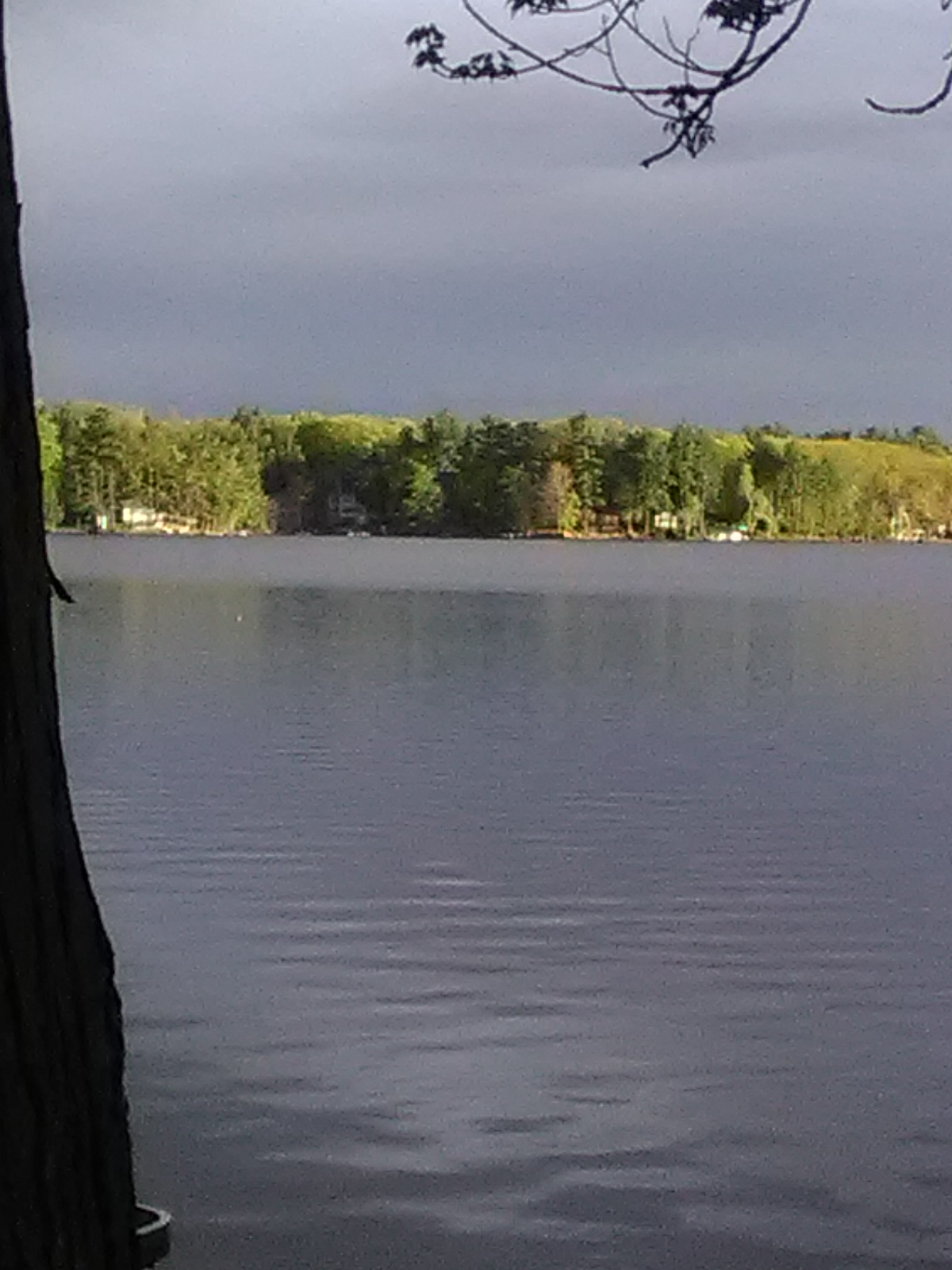 Angle Pond Grove Camping & Recreation Area