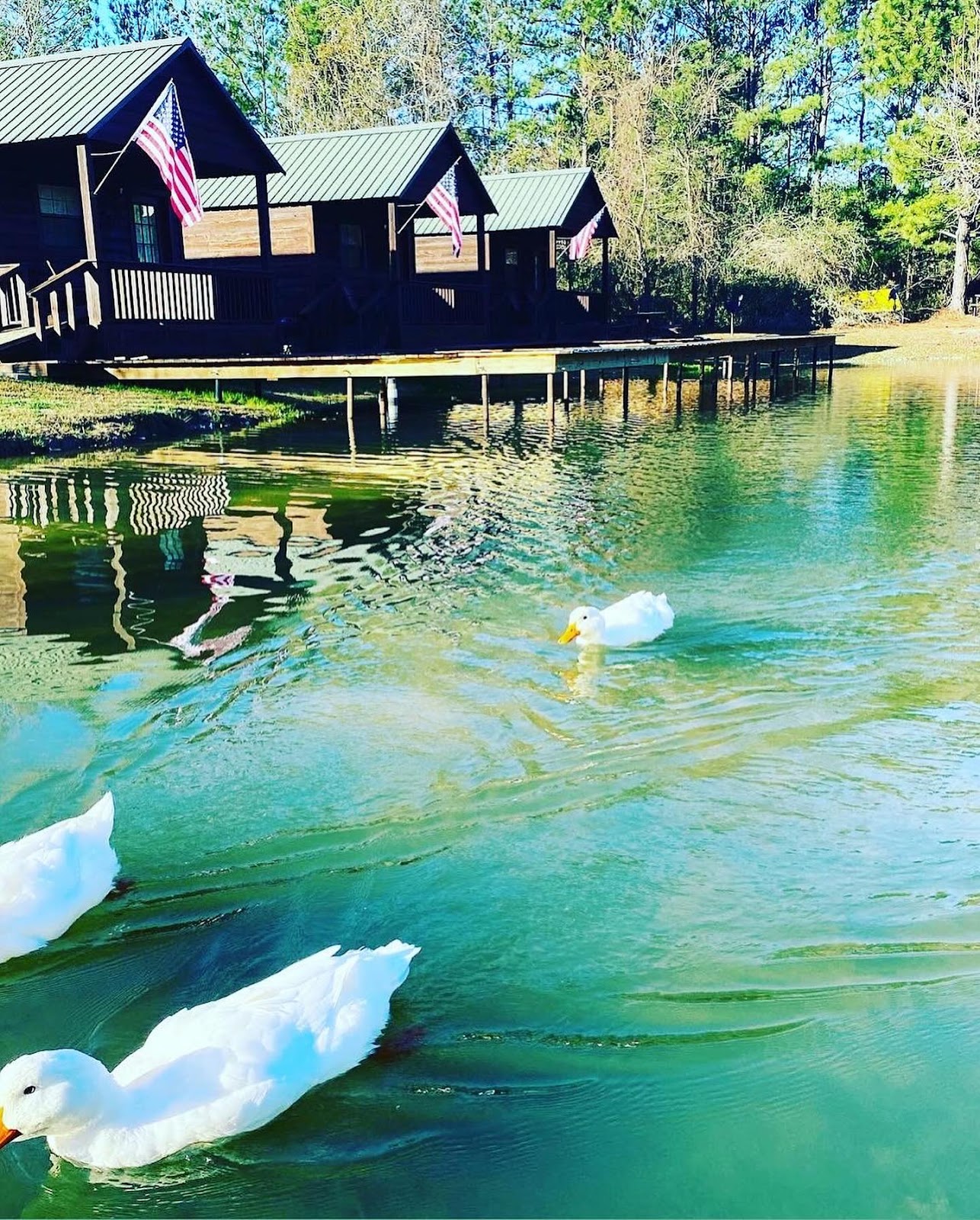 Brookeland - Lake Sam Rayburn KOA Holiday