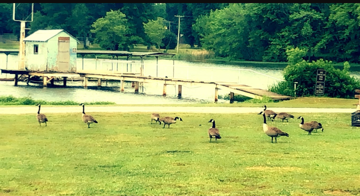 Harts RV Park Campground