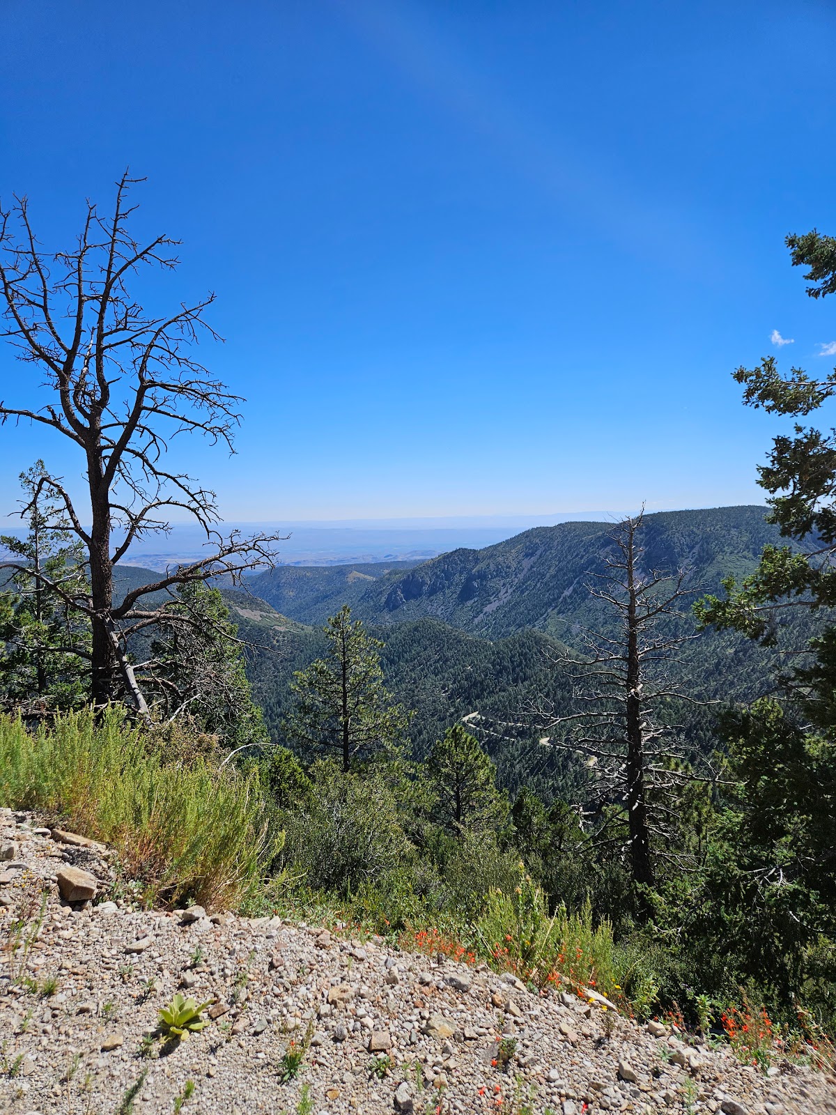 Water Canyon Campground