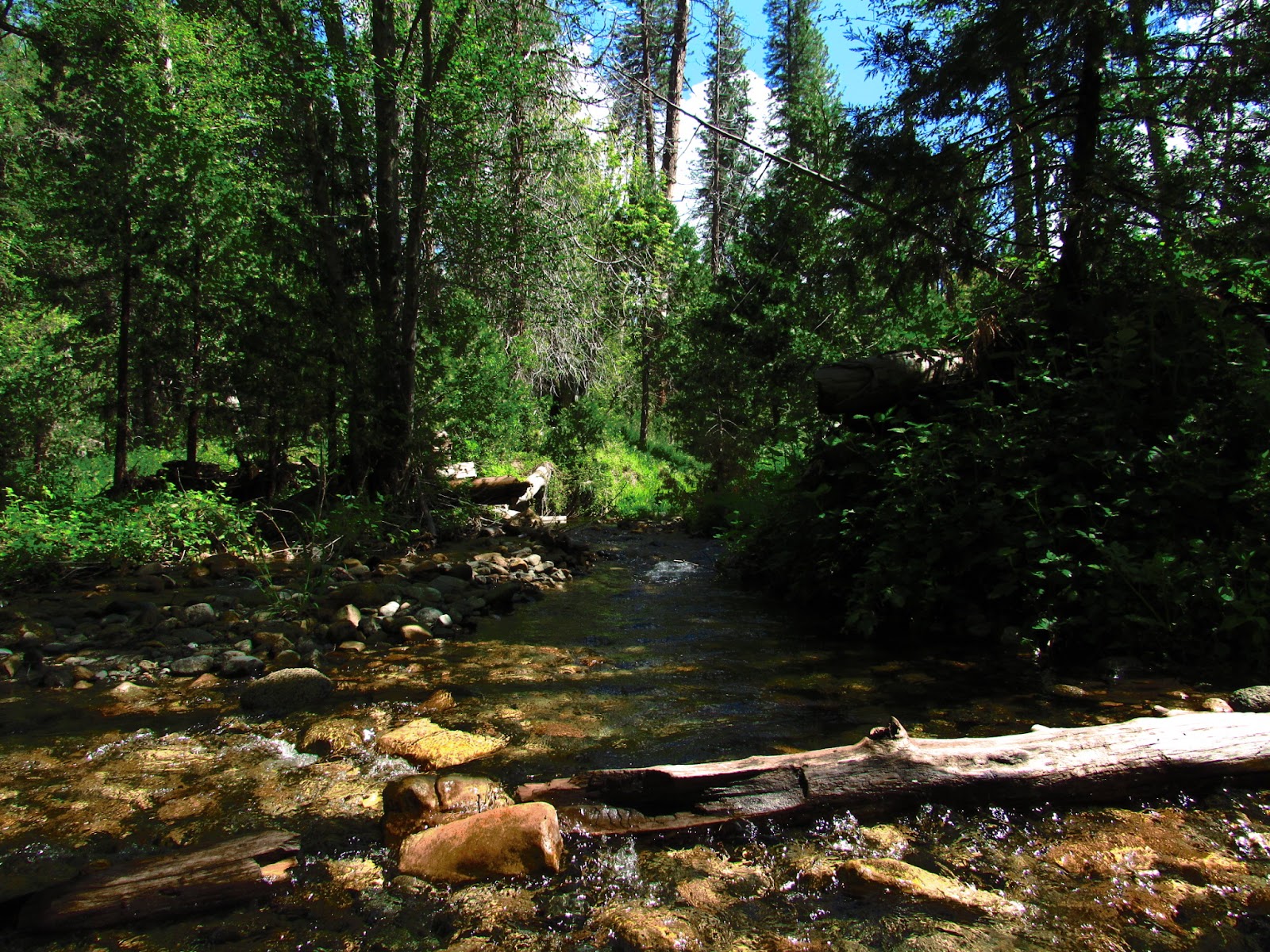 Bretz Mill Campground