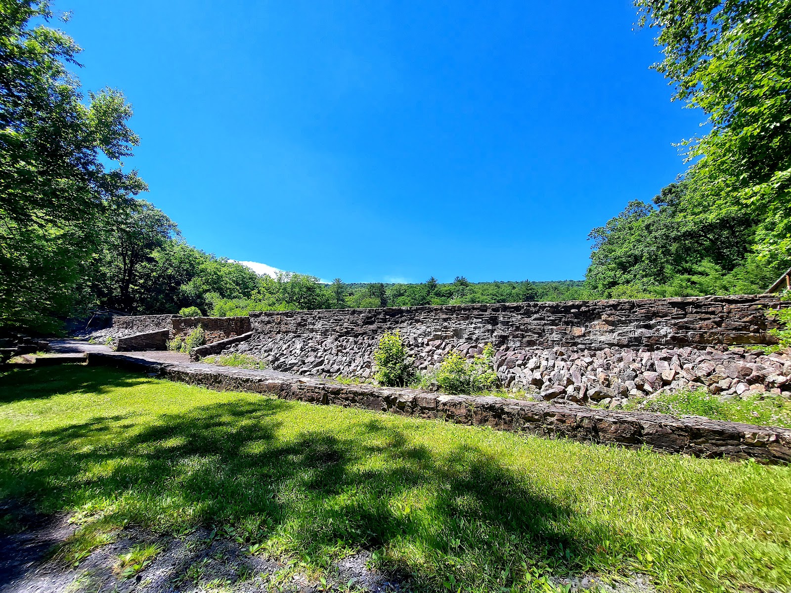Penn-Roosevelt State Park