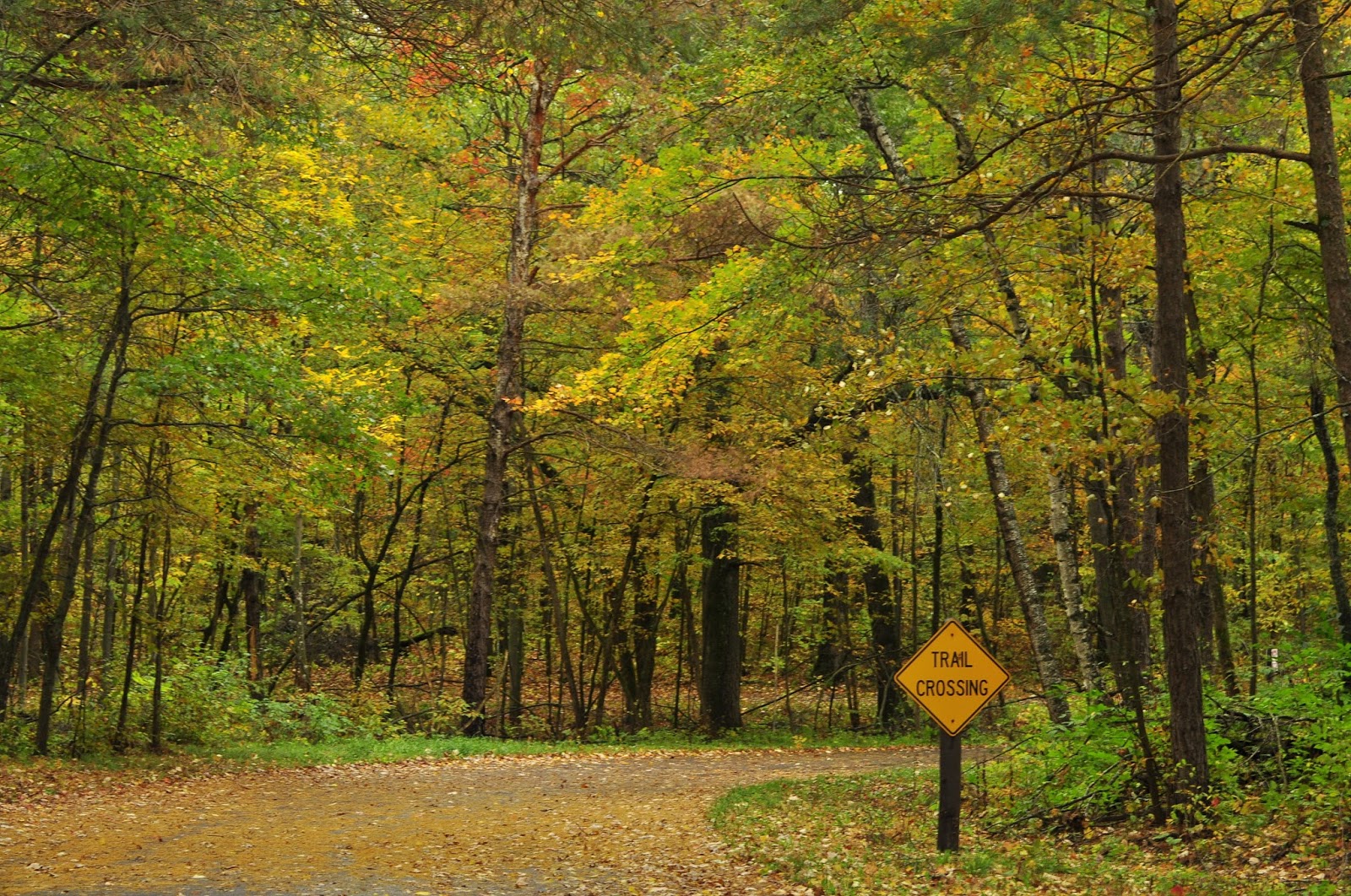 Wild River State Park