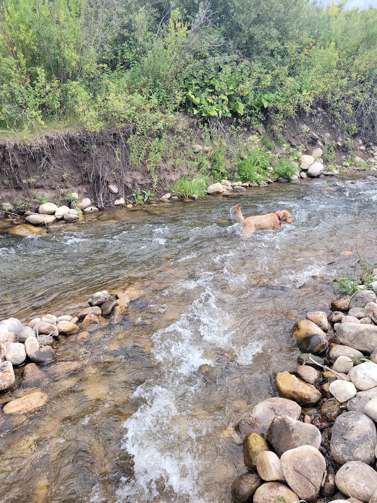 Perception Park Campground