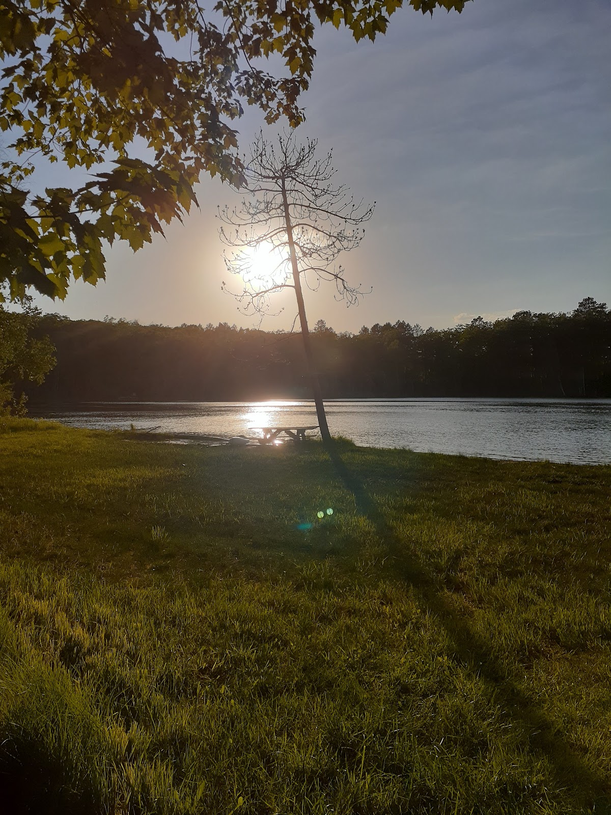Ess Lake SF Campground