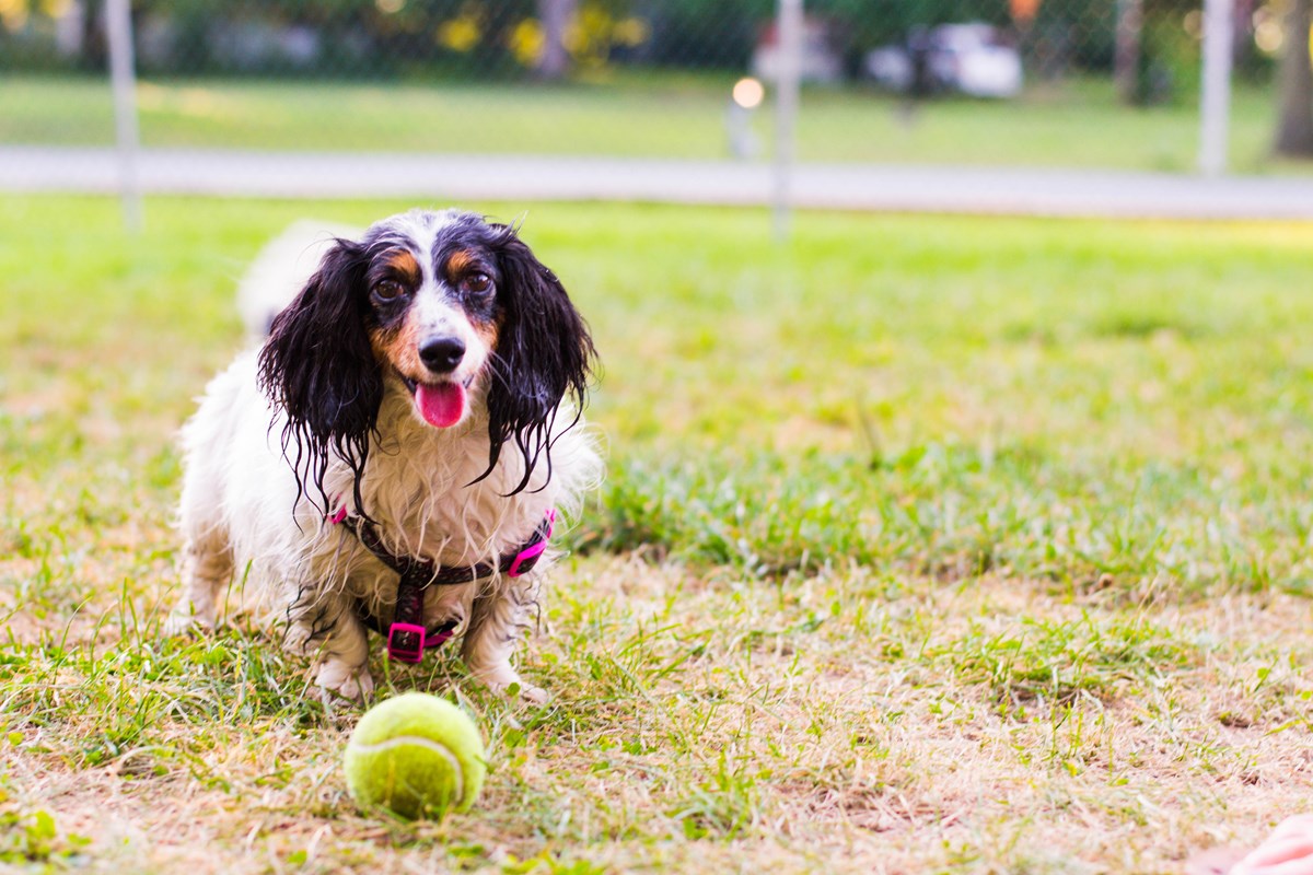 Jacksonville North/St. Marys – KOA