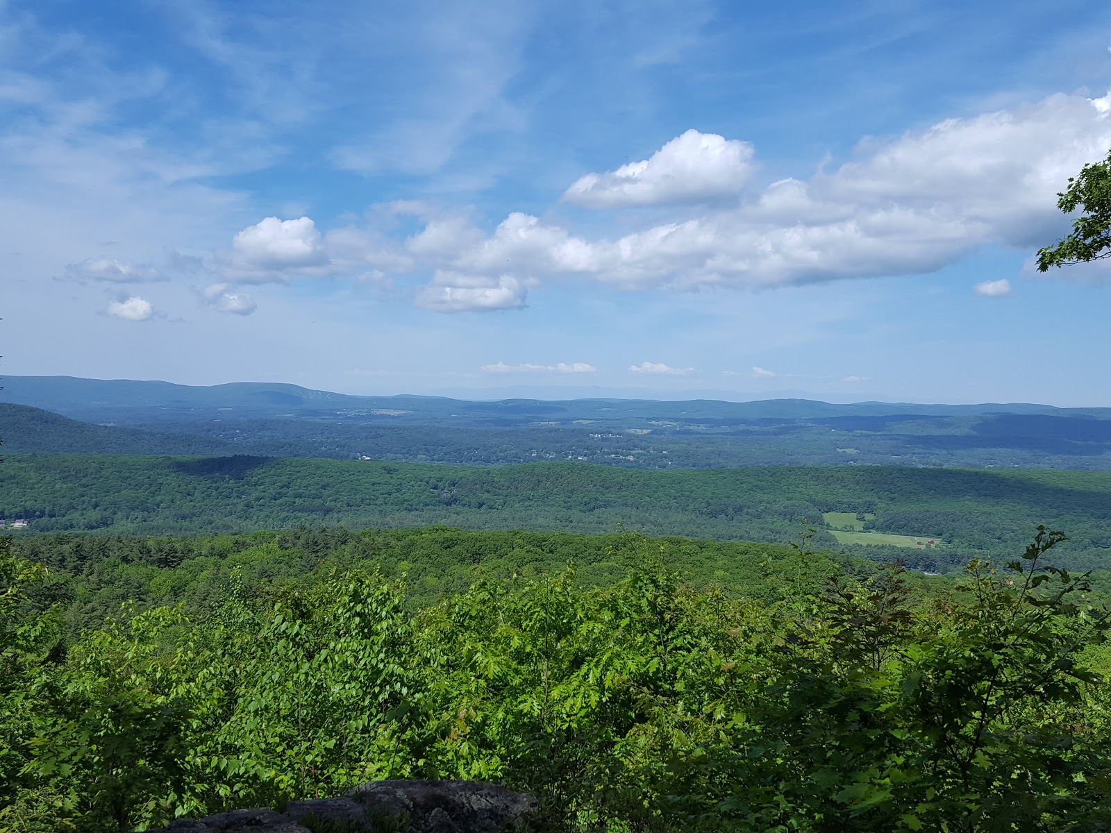 Beartown State Forest Camping