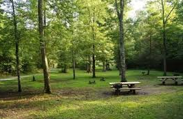 Mcnabb Creek Group Camping