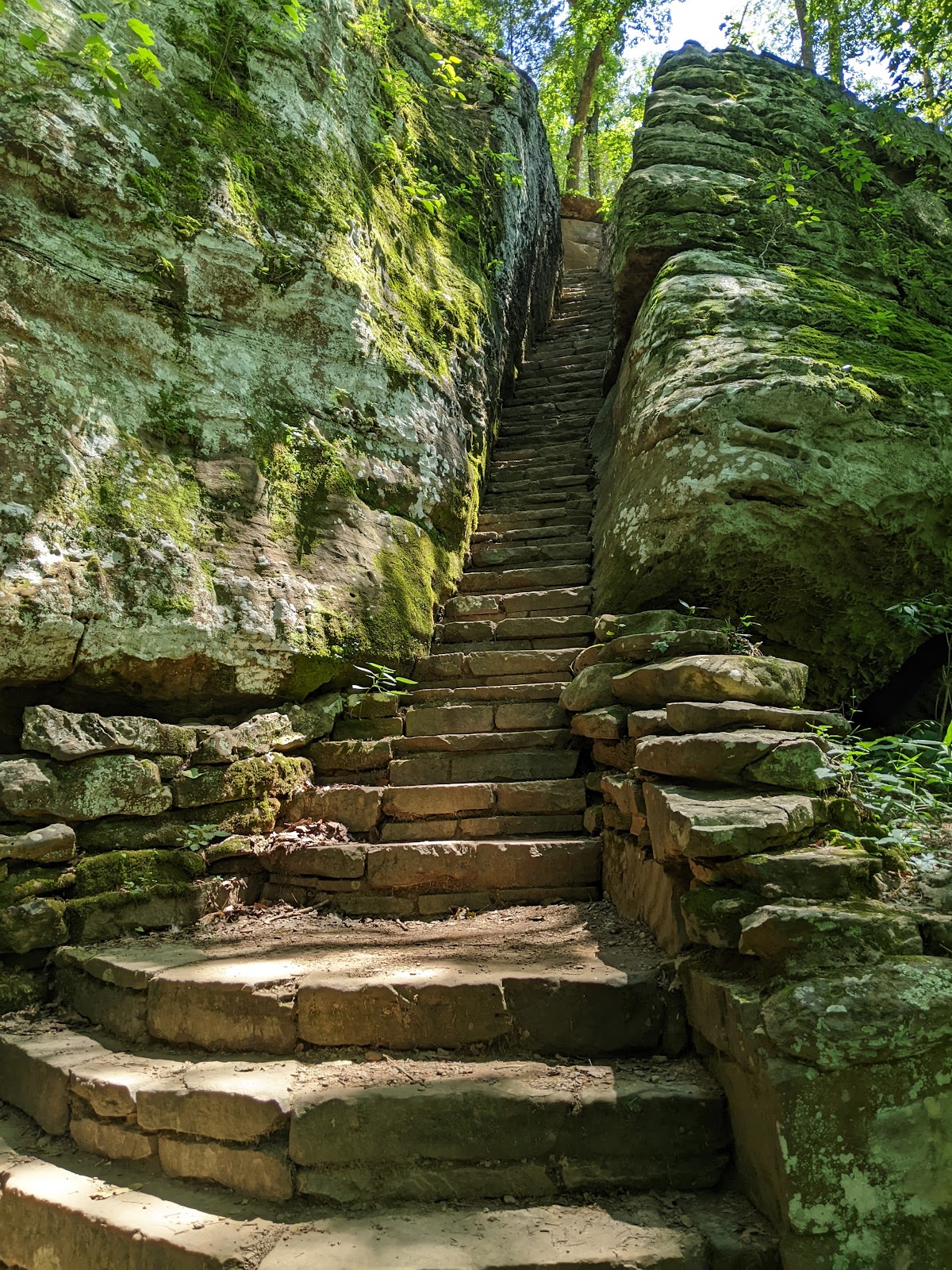Red Bud - Bell Smith Springs Rec Area