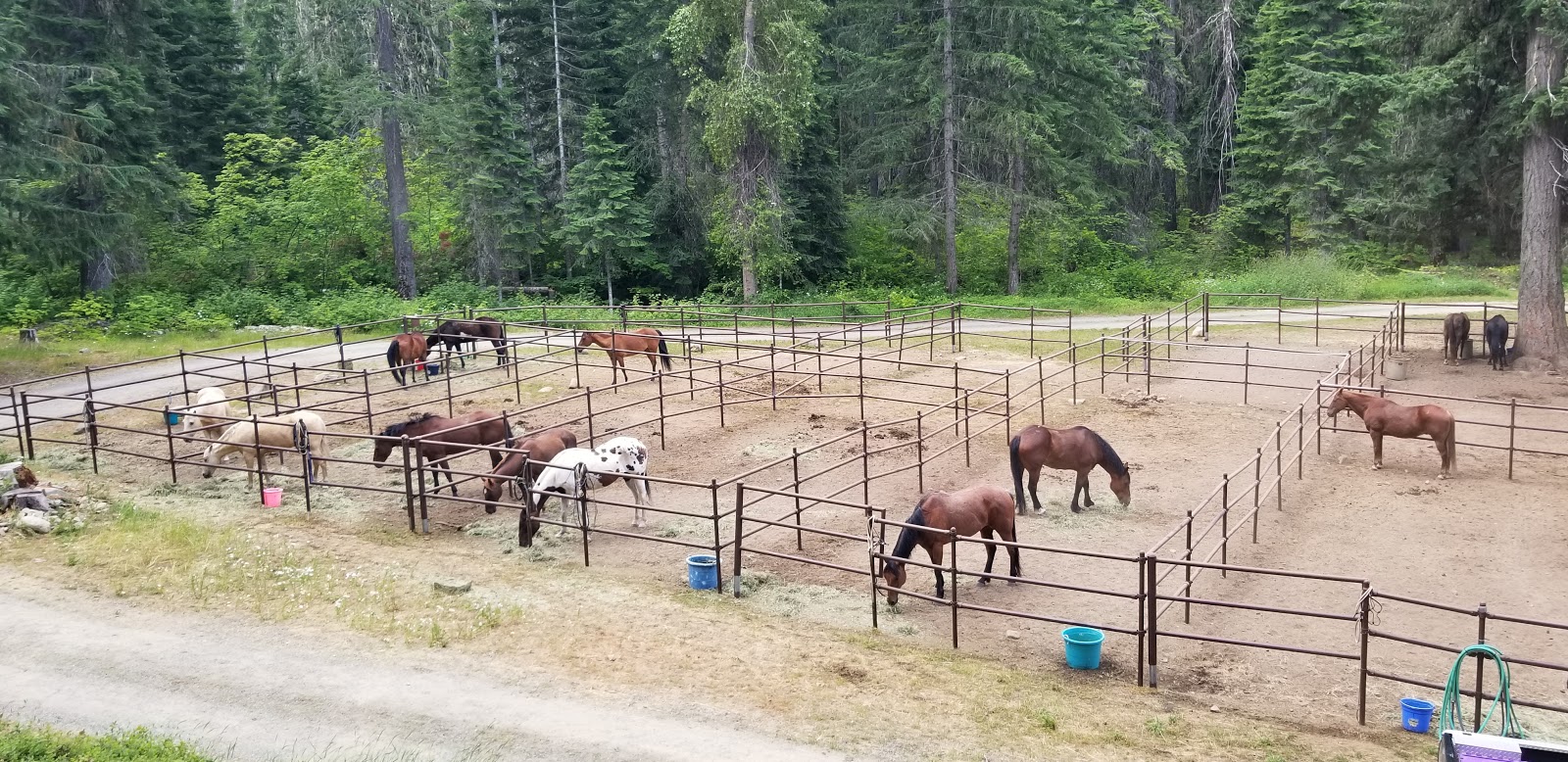 Cayuse Horse Campground