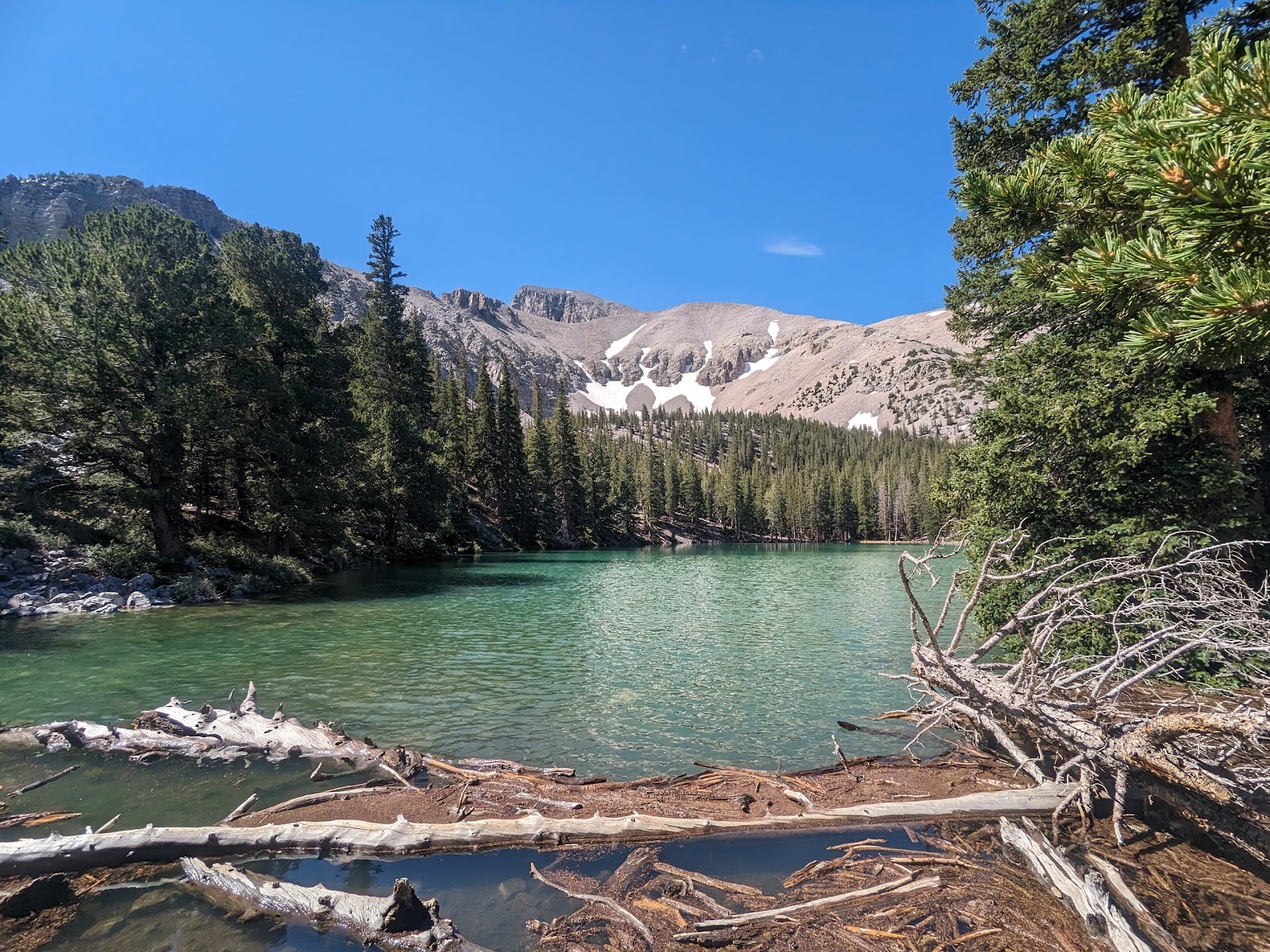 Wheeler Peak Campground