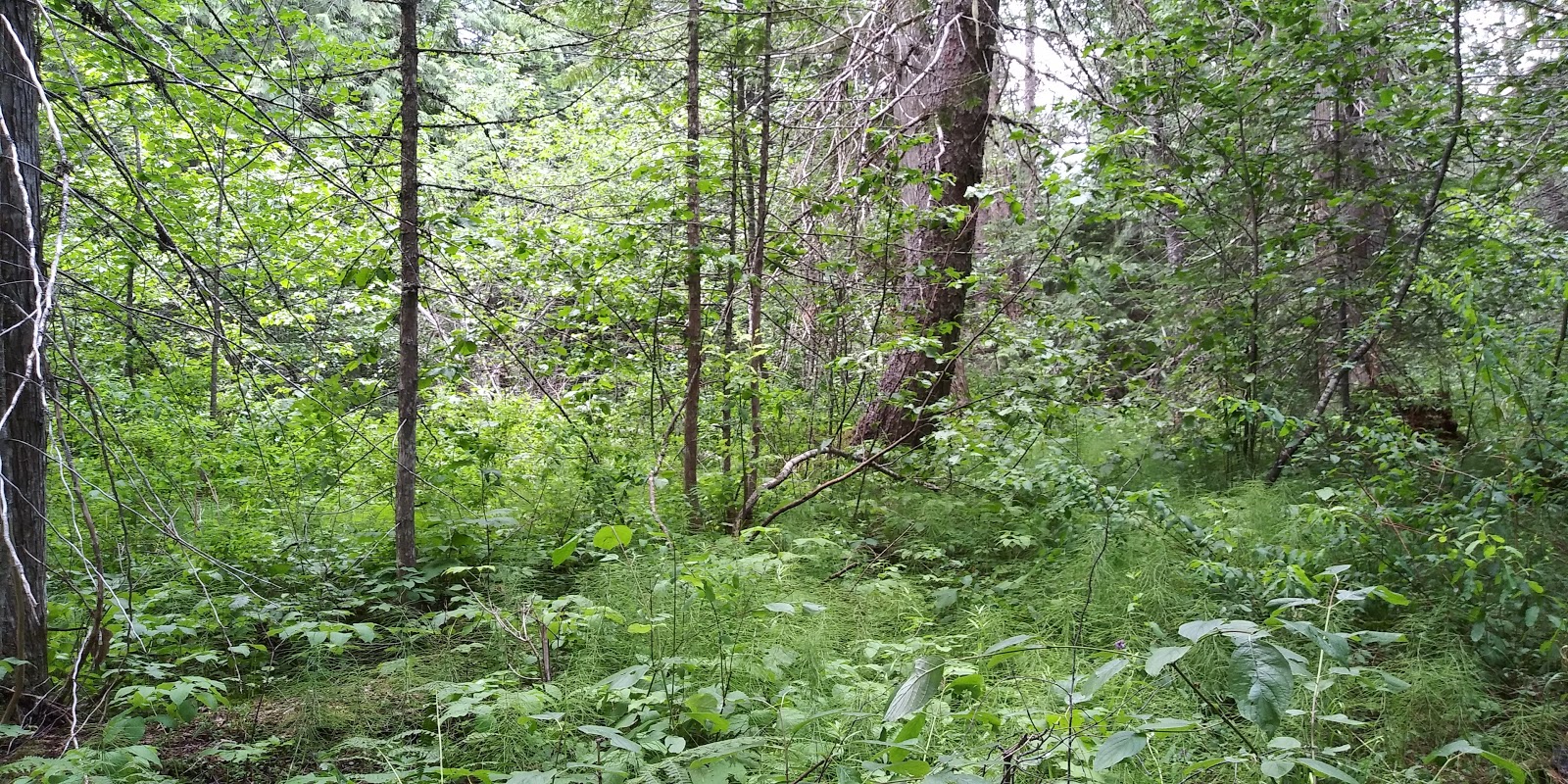 Meadow Creek Campground