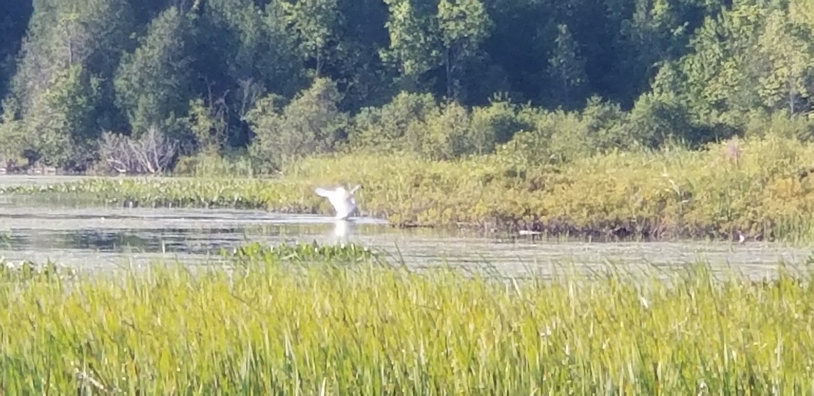 Lake Gogebic County Park