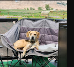 Cedar Pass Campground