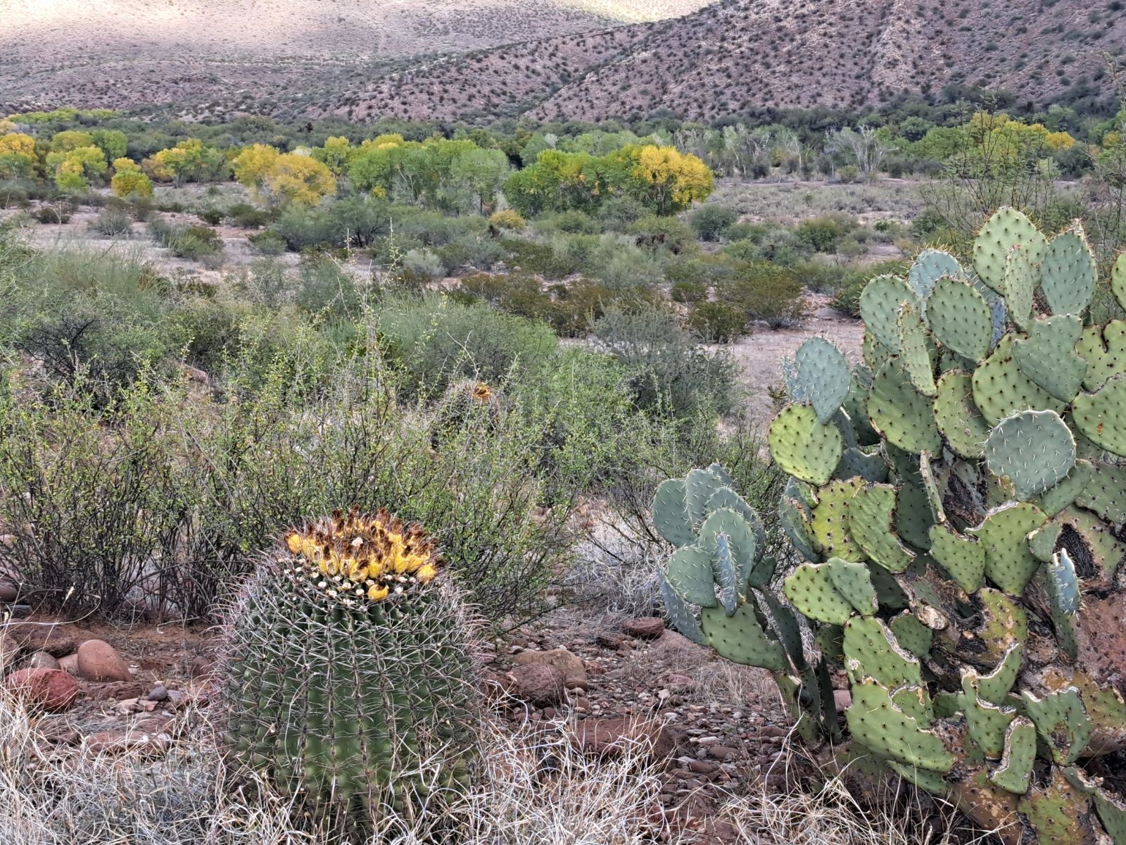 Riverview Campground (recgovnpsdata)