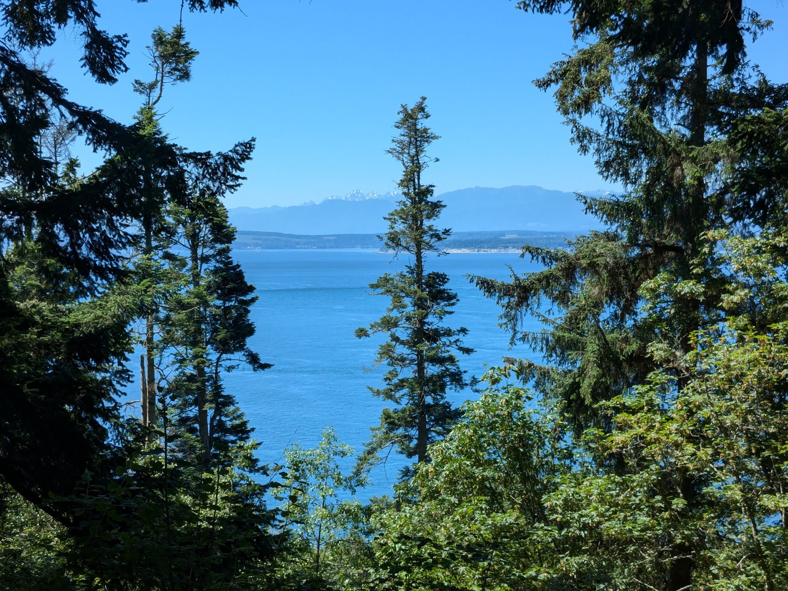 South Whidbey Island State Park