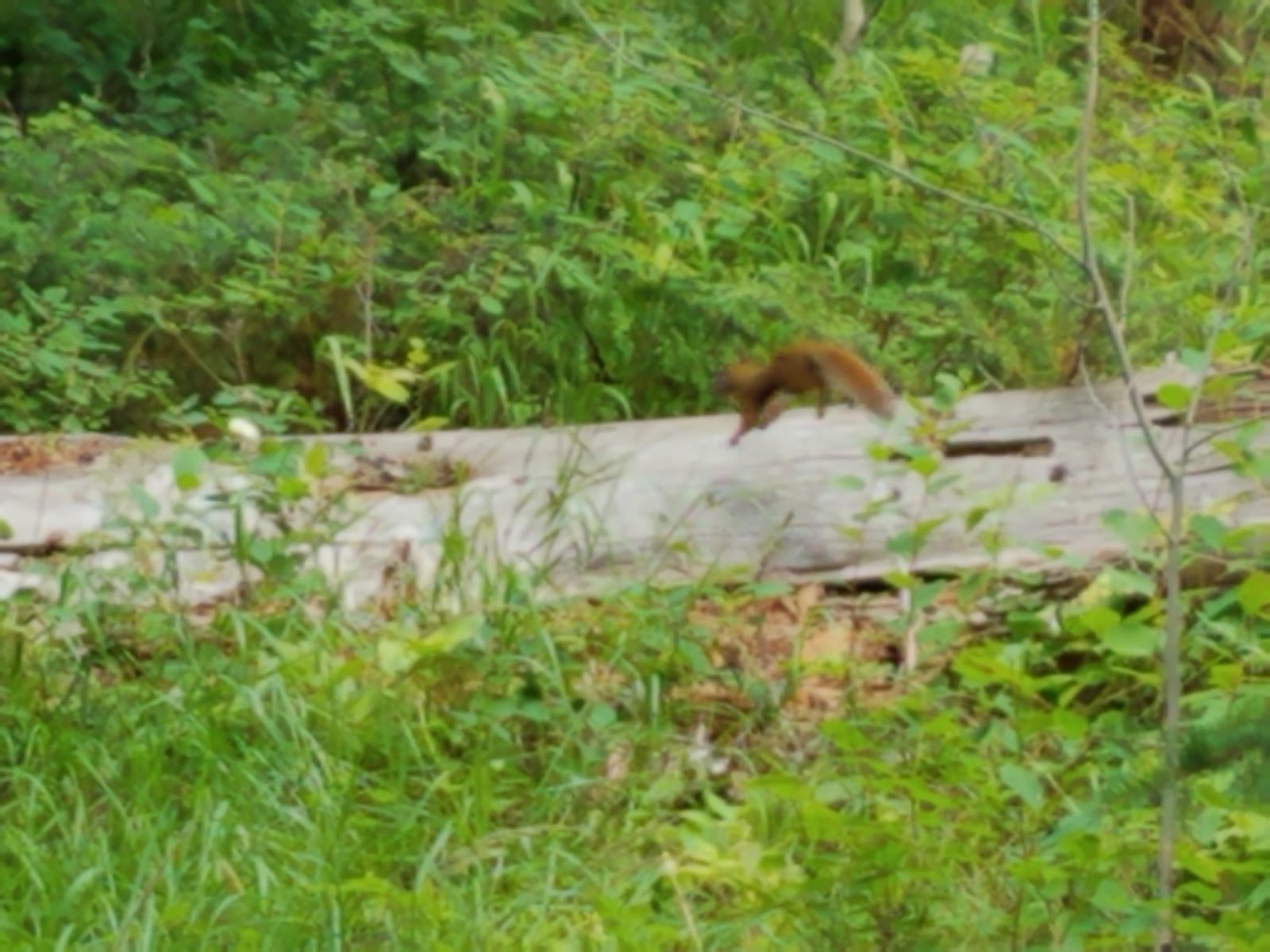 Hells Canyon Campground