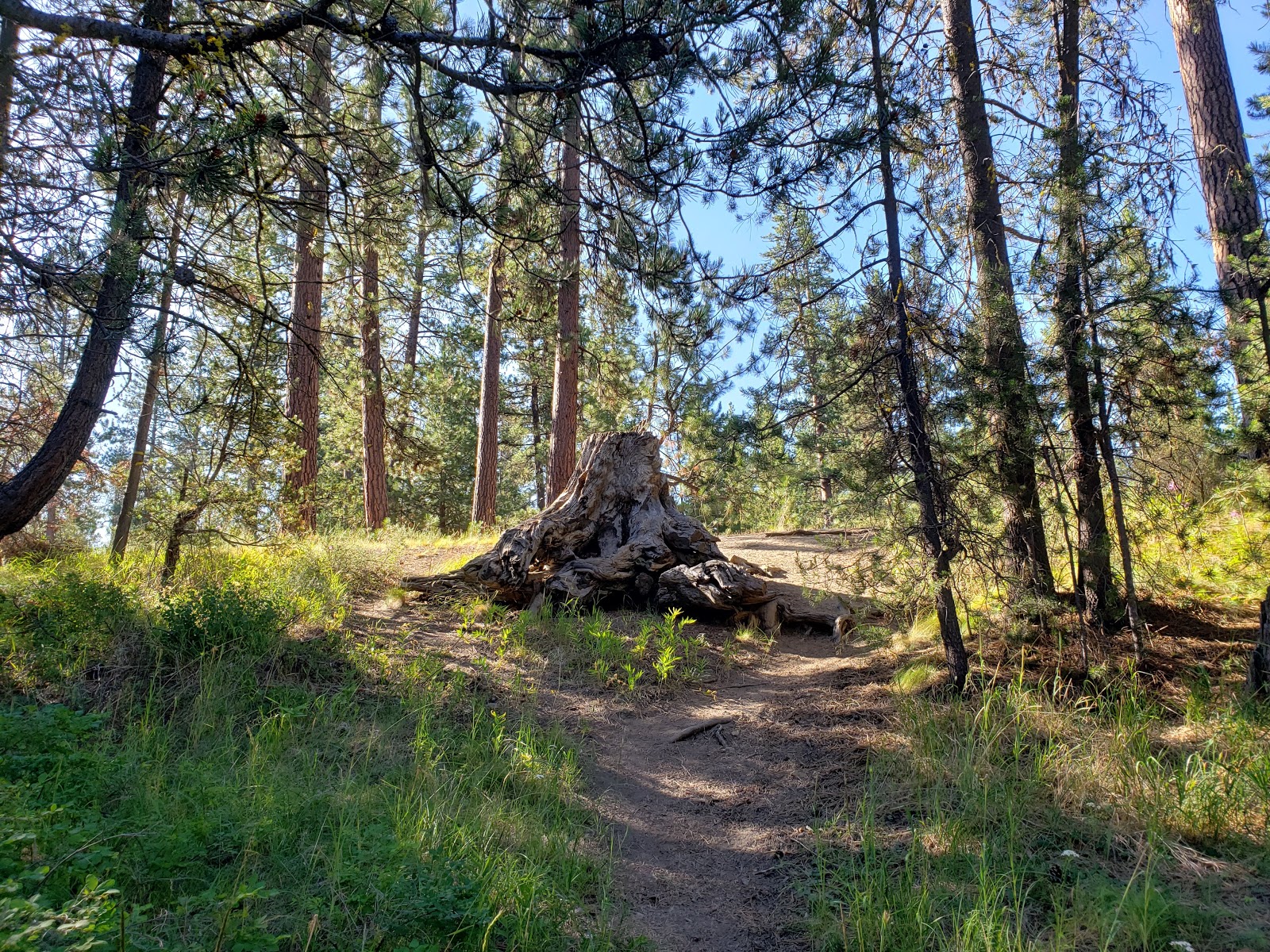 Pringle Falls Campground