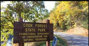Cooks Forest Locust Lodge Campground