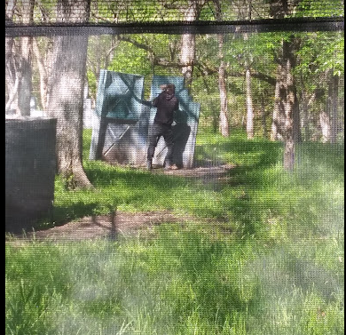 Drop Zone Paintball Park