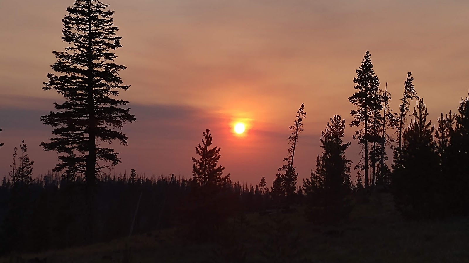 Dead Horse Lake Campground