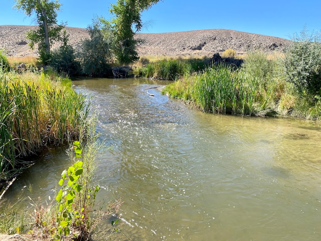 Walker River State Recreation Area