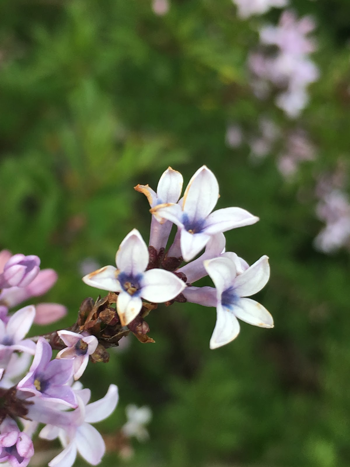 Ash Creek Mobile & RV Park