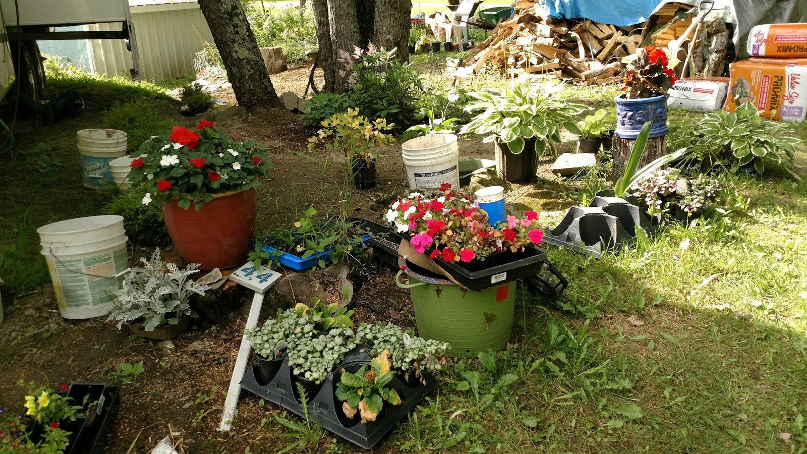 Shady Acres RV & Campground