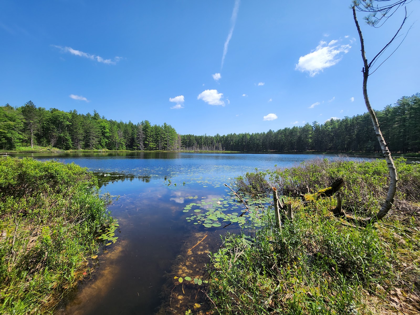 Round Lake SF Campground