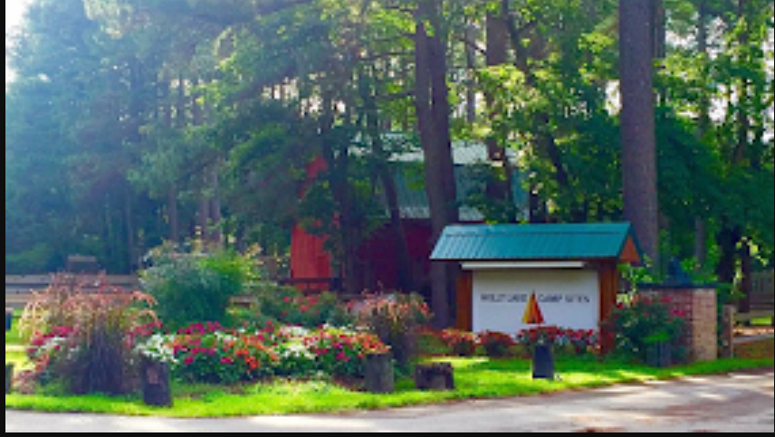 Holly Lake Camp Sites