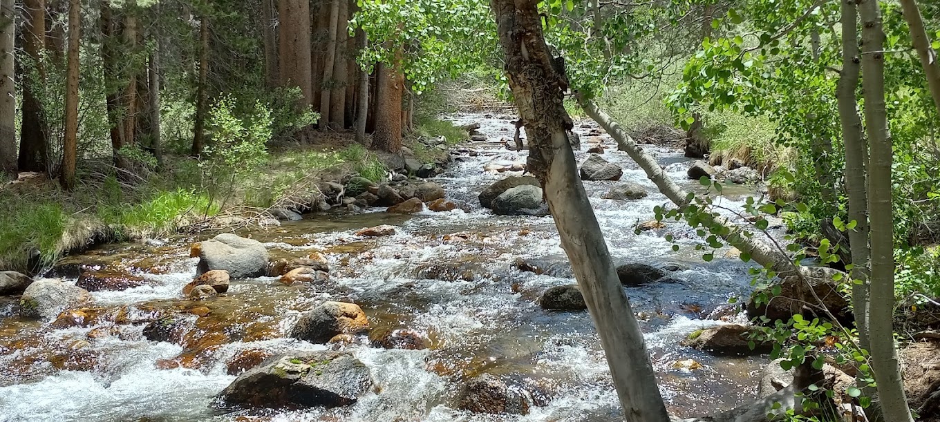 East Fork Campground – Inyo National Forest (CA)